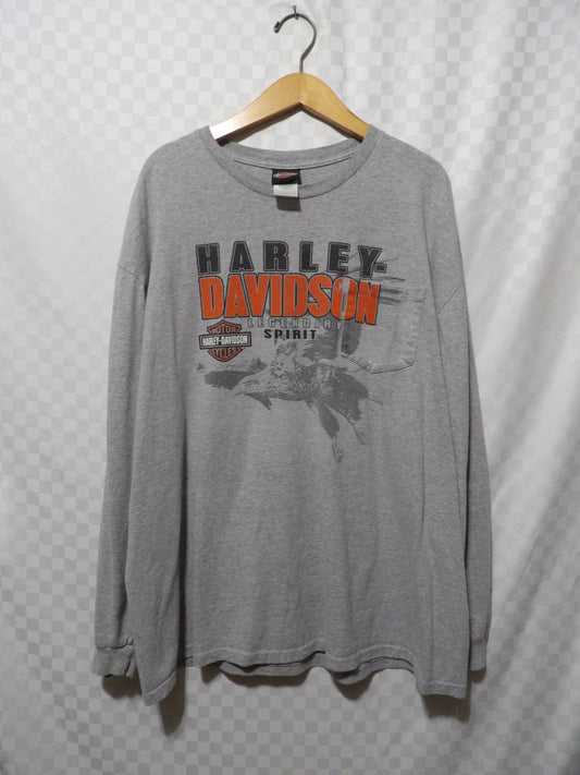 HARLEY DAVIDSON Long Sleeve Tee | 2XL